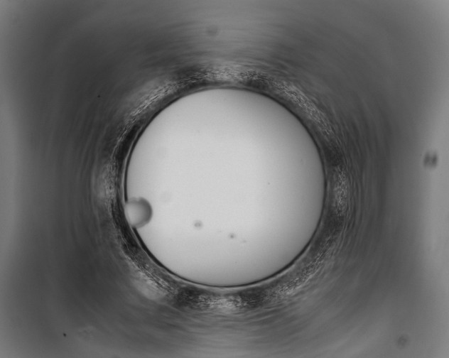 X0000100880683200806201147