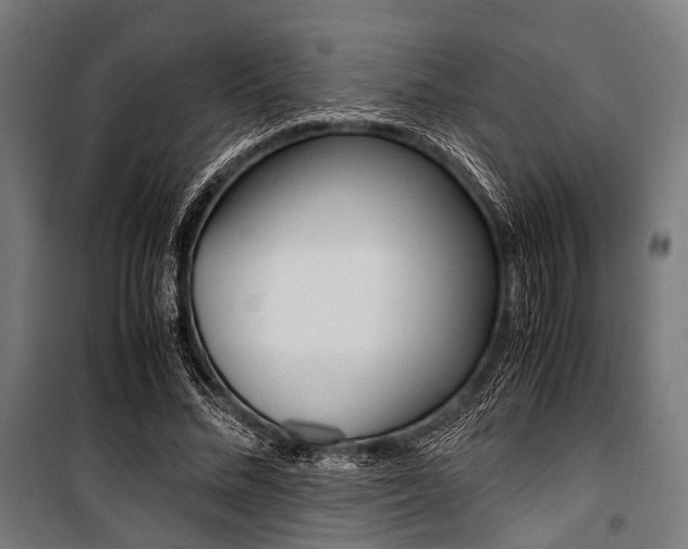 X0000100880684200806201147