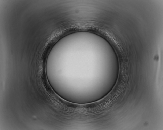 X0000100880685200806201147