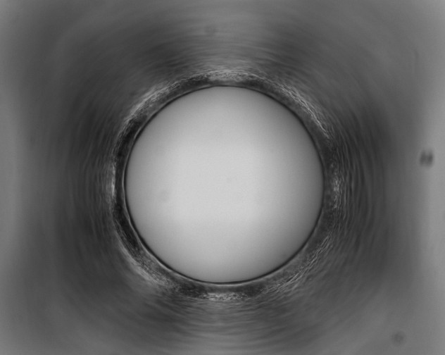 X0000100880686200806201147