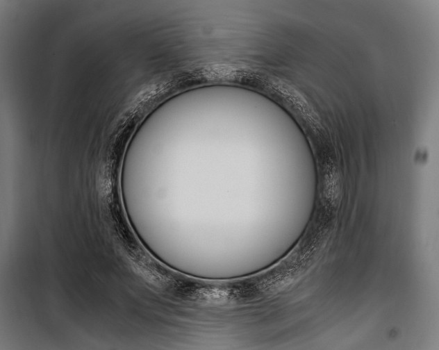 X0000100880687200806201147