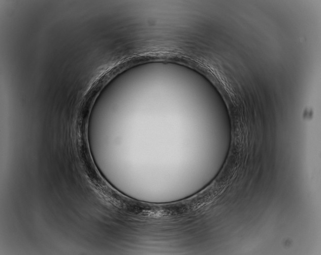 X0000100880688200806201147