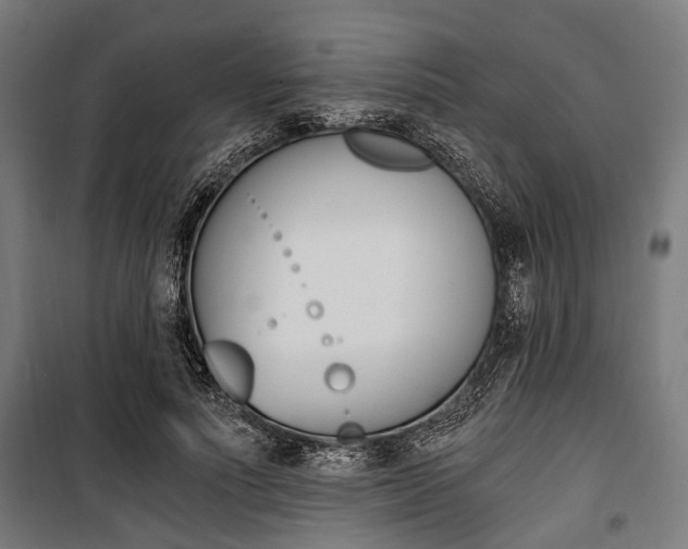 X0000100880691200806201147