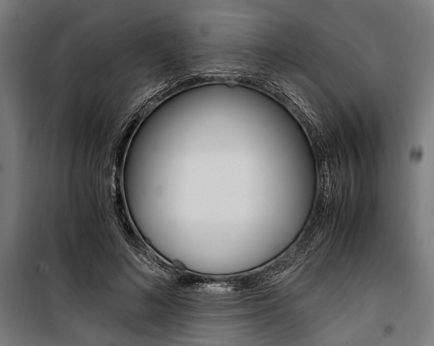 X0000100880692200806201147