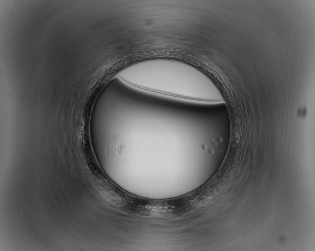 X0000100880693200806201147