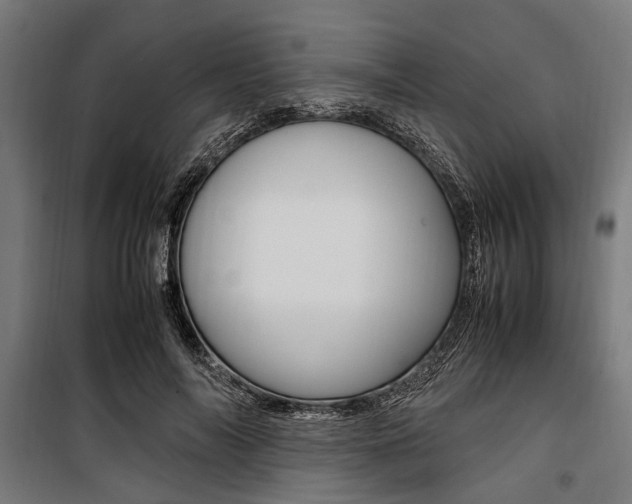 X0000100880694200806201147
