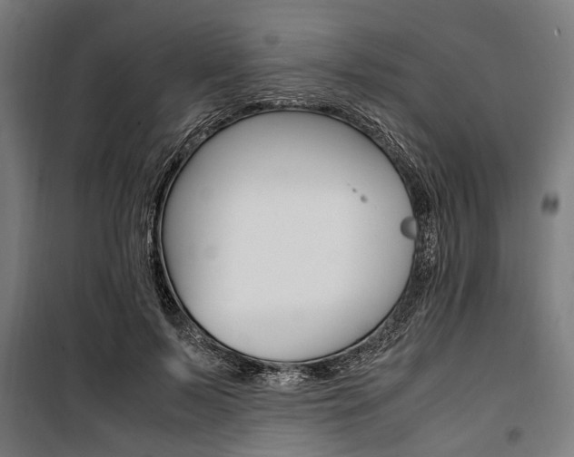 X0000100880695200806201147