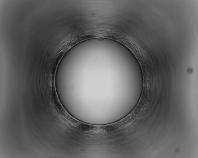X0000100880696200806201147
