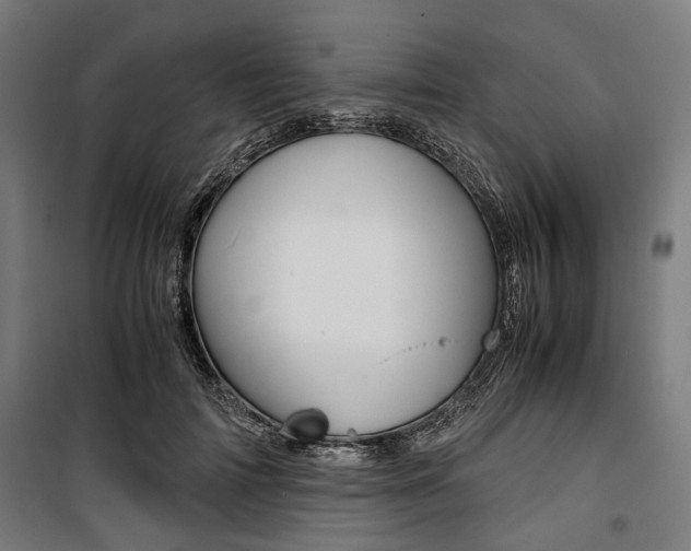 X0000100880698200806201147