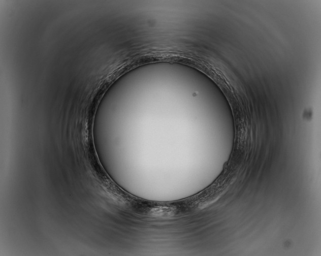X0000100880700200806201147
