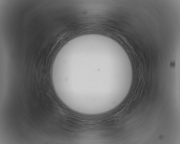 X0000100880701200806201147