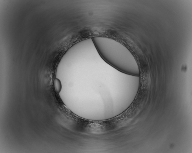 X0000100880703200806201147