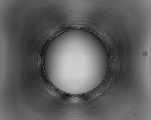 X0000100880704200806201147