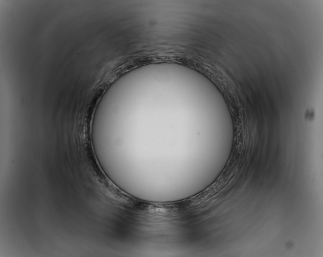 X0000100880706200806201147