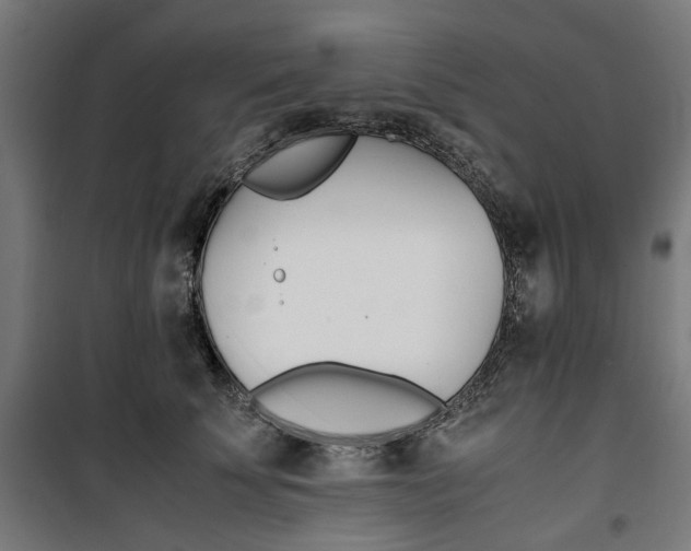 X0000100880707200806201147