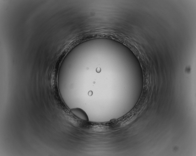 X0000100880708200806201147