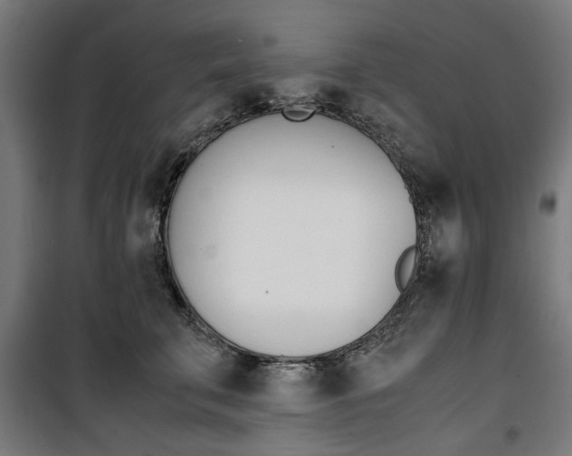 X0000100880711200806201147