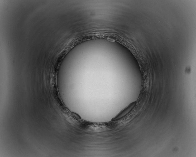 X0000100880712200806201147