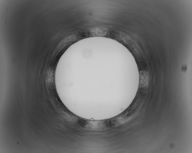 X0000100880713200806201147