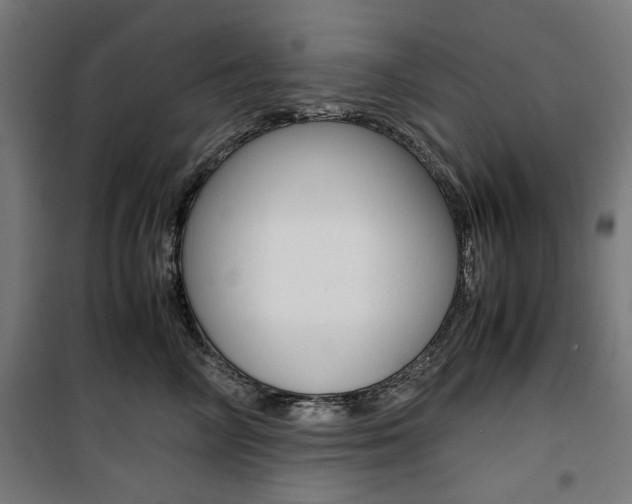 X0000100880714200806201146