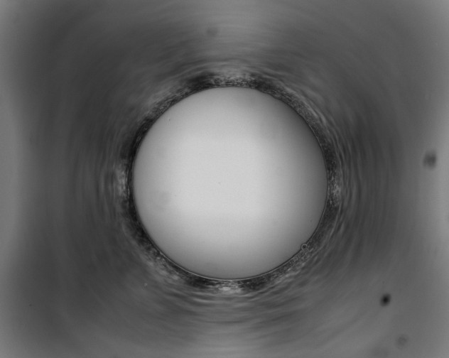 X0000100880715200806201146
