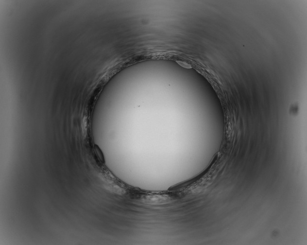 X0000100880716200806201146