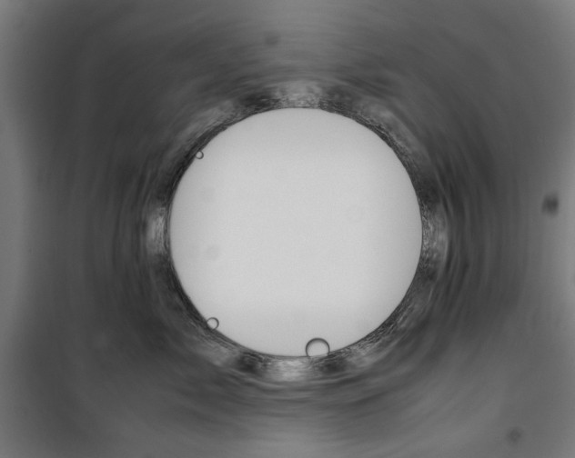X0000100880717200806201146