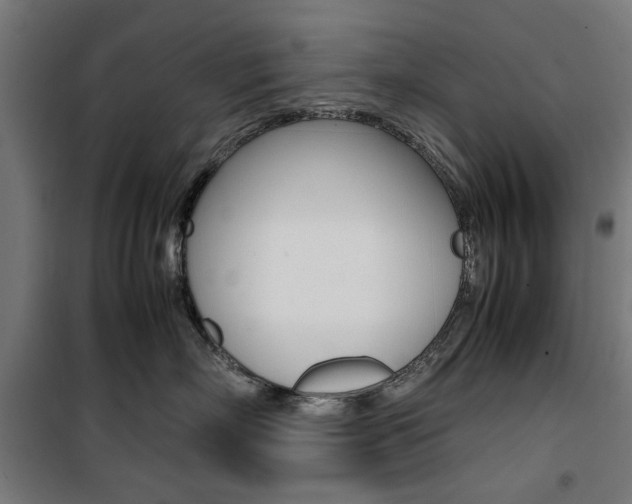 X0000100880718200806201146