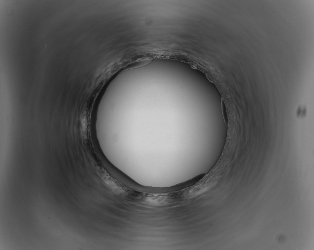 X0000100880720200806201146