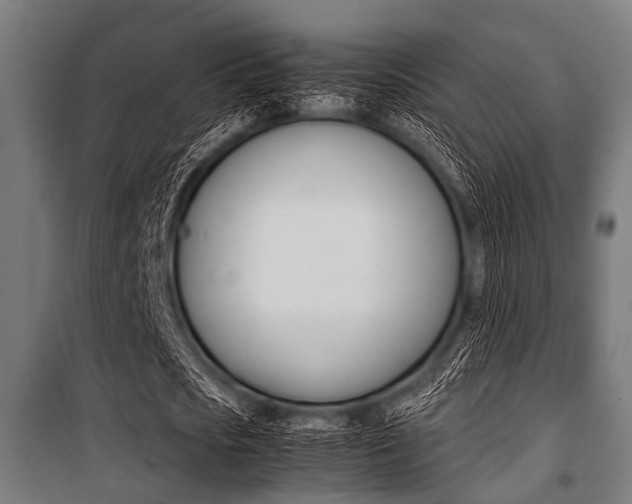 X0000100880721200806201146