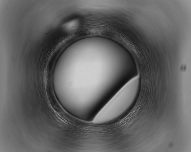 X0000100880722200806201146