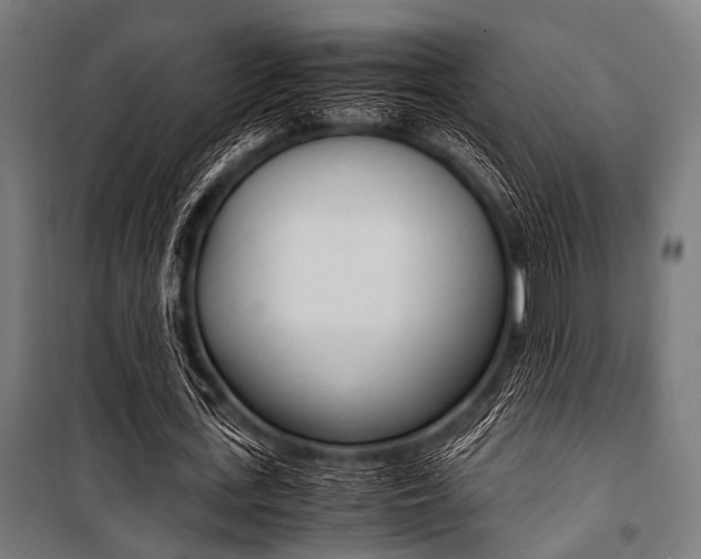 X0000100880723200806201146