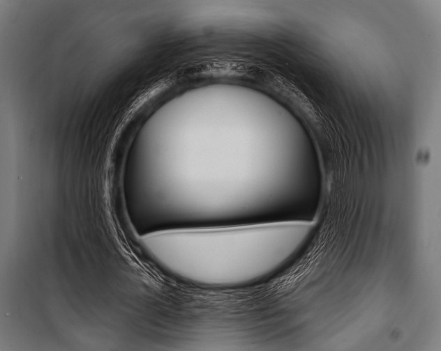 X0000100880724200806201146