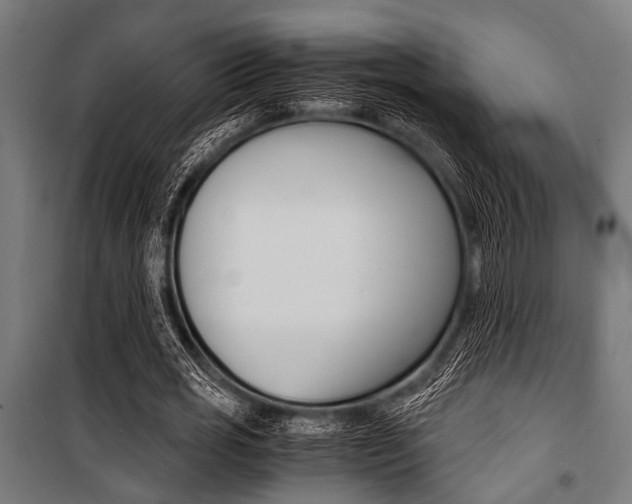 X0000100880725200806201146