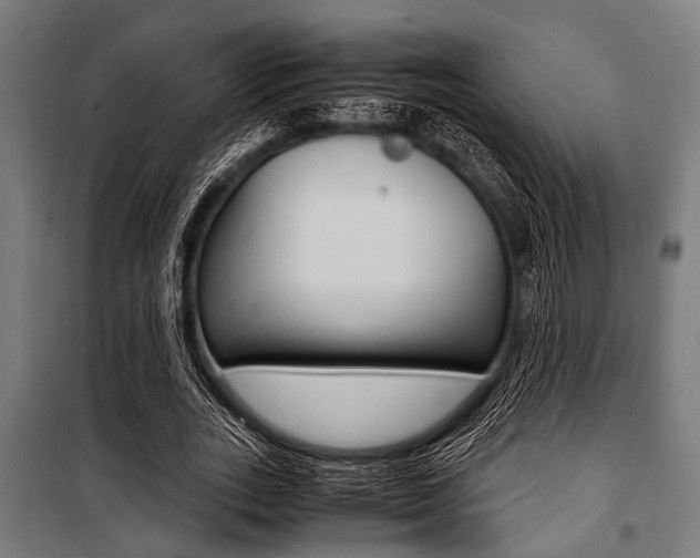 X0000100880727200806201146
