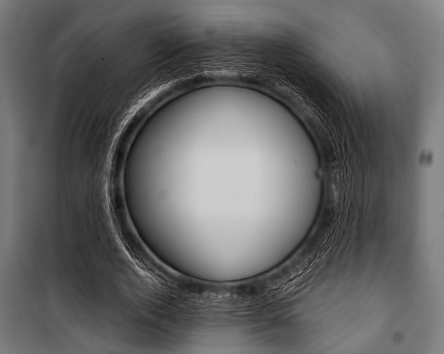 X0000100880728200806201146
