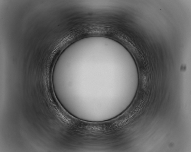 X0000100880729200806201146