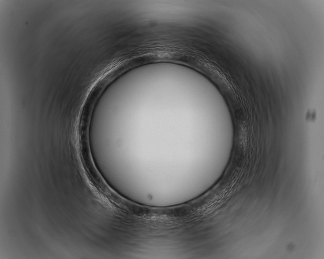 X0000100880730200806201146