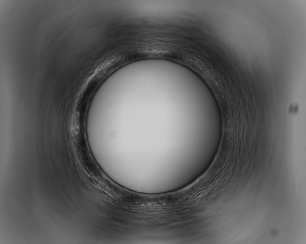 X0000100880731200806201146