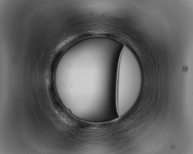 X0000100880732200806201146