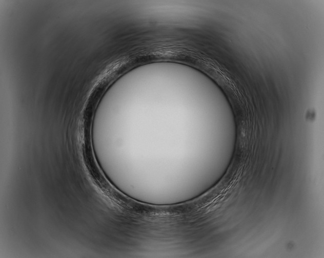 X0000100880734200806201146