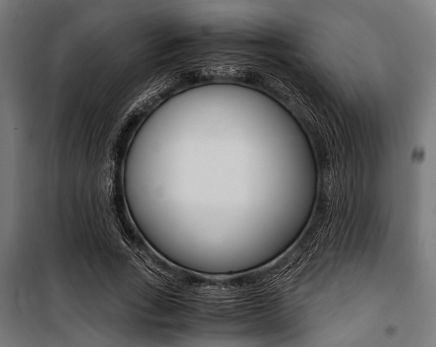X0000100880735200806201146