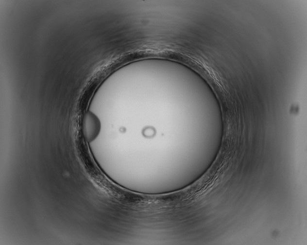 X0000100880736200806201146