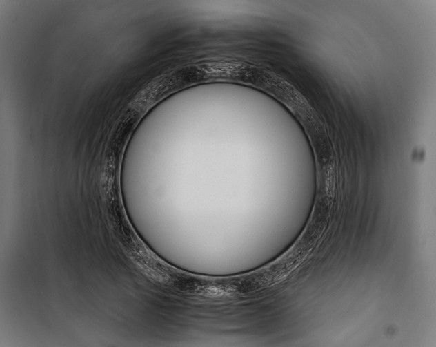 X0000100880737200806201146