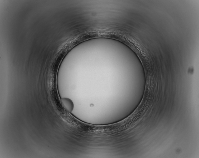 X0000100880740200806201146