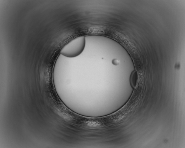 X0000100880741200806201146