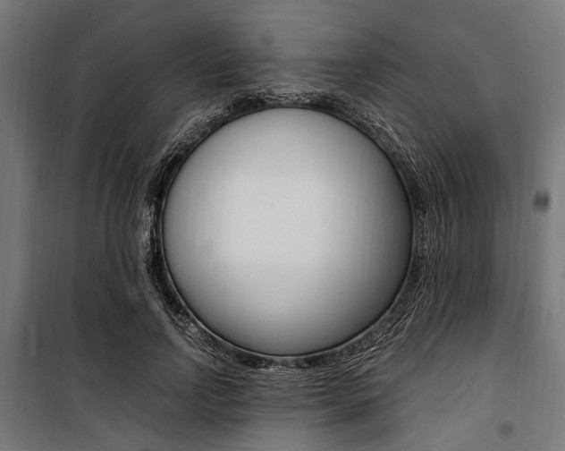 X0000100880742200806201146