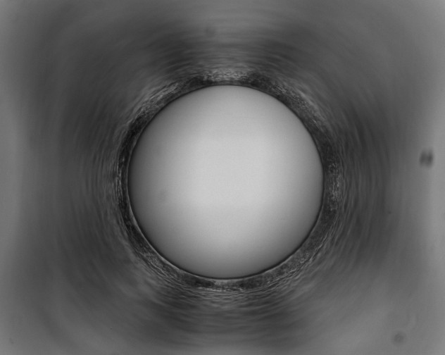 X0000100880743200806201146