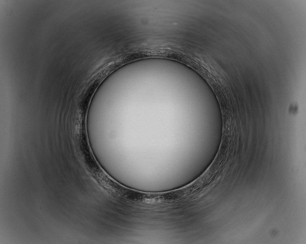 X0000100880744200806201146