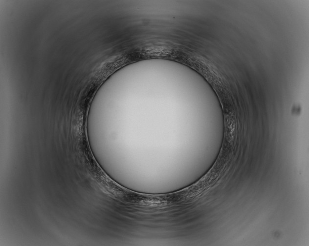 X0000100880745200806201146